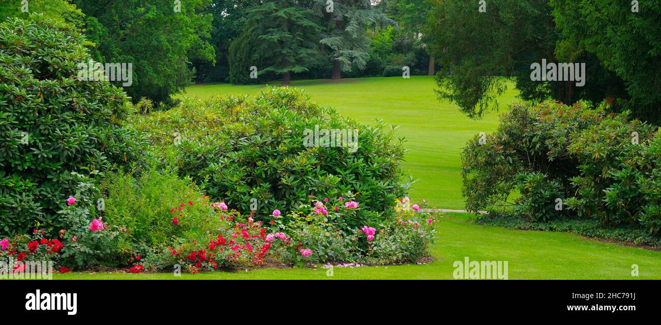 Lush flower beds in the summer garden. Evening time. Wide photo Stock ...