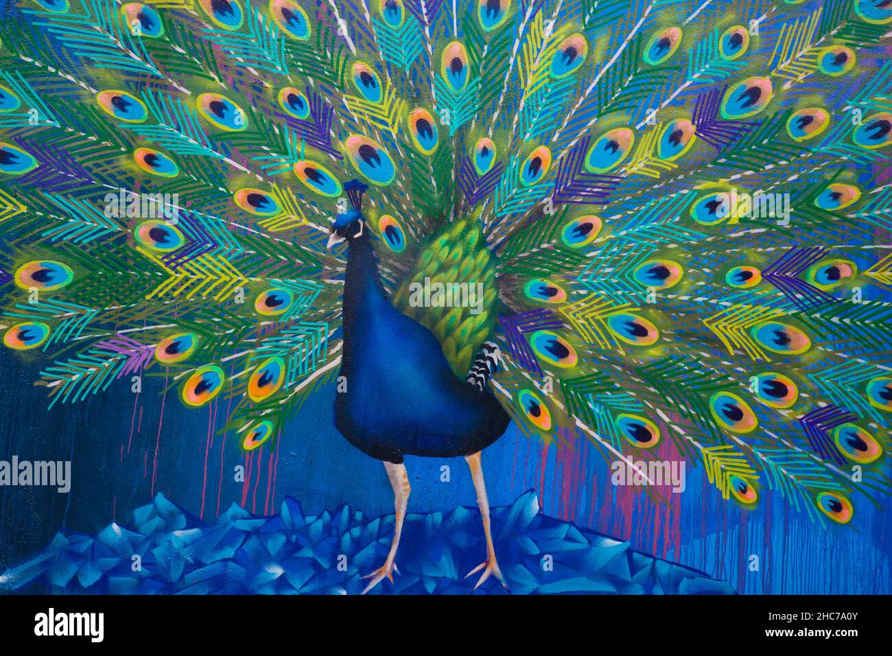 Colorful grafiti of a male peacock in a wall in Sao Paolo, Brazil Stock Photo