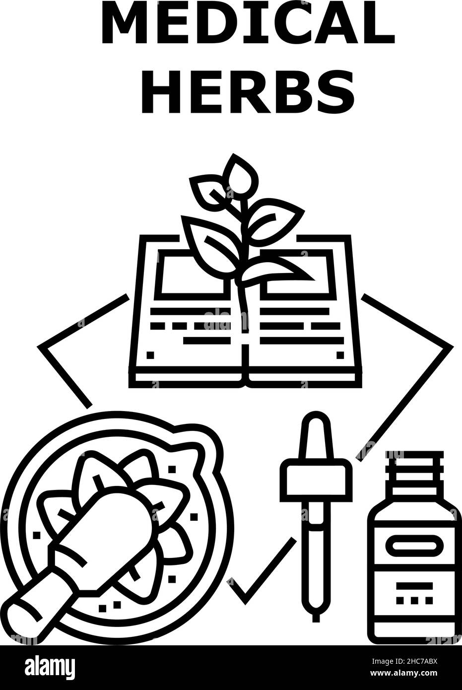 Medical Herbs Vector Concept Black Illustration Stock Vector Image ...