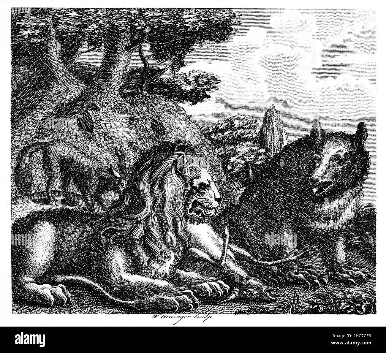 engraved illustration of The Lion the Bear and the Fox, with the moral, sometimes,  he who does the work doesn’t get the benefit, from 1793 First Edit Stock Photo