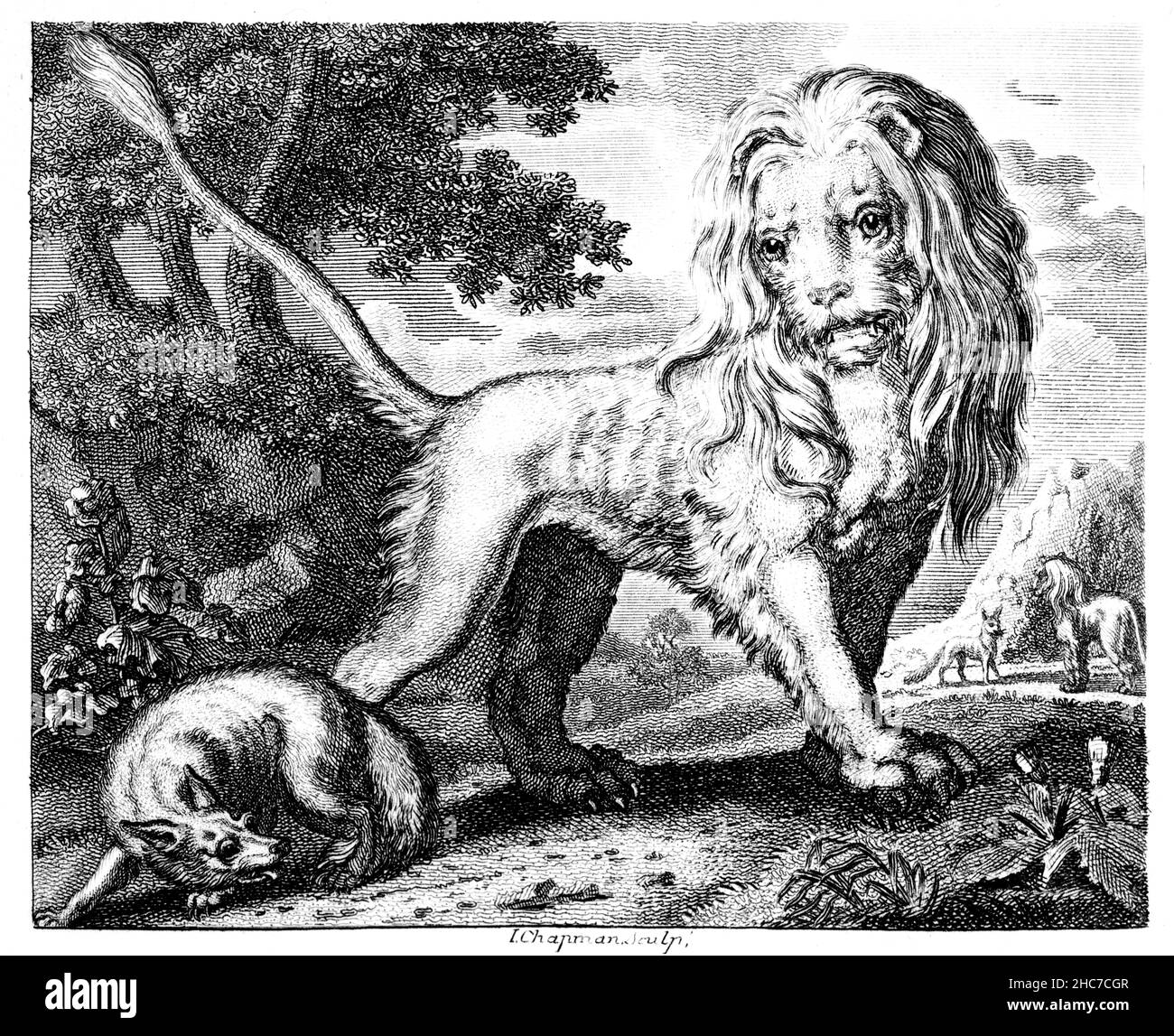 engraved illustration of The Fox and the Lion, a tale of taking care as familiarity breeds contempt, from 1793 First Edition of Stockdale’s Aesop’s Fa Stock Photo