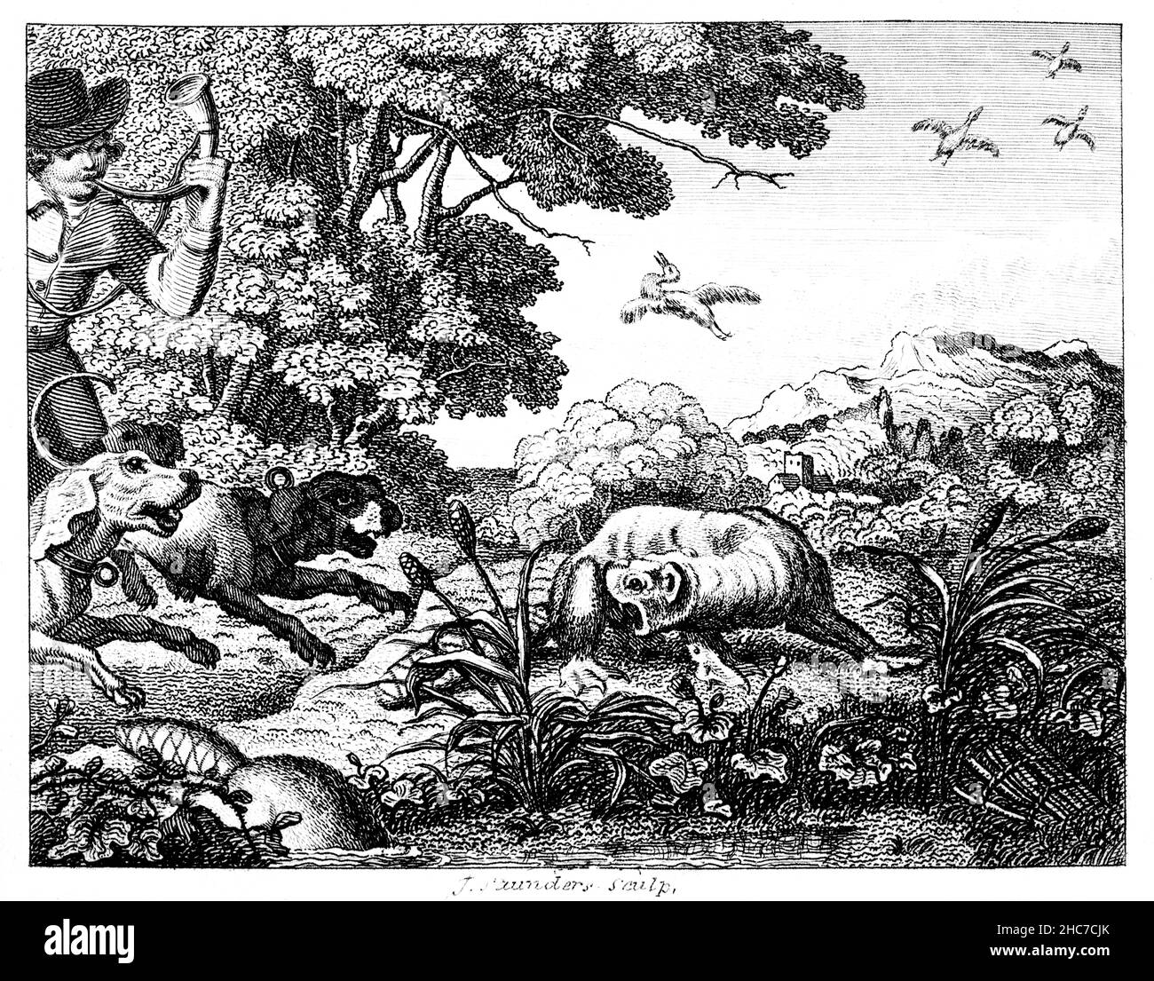 engraved illustration of The Hunted Beaver, with the moral, jettison what causes danger, from 1793 First Edition of Stockdale’s Aesop’s Fables Stock Photo