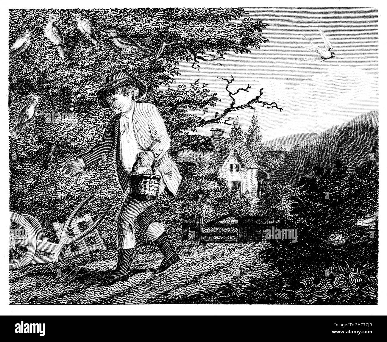 engraved illustration of The Swallow and Other Birds, with the moral, destroy the seed of evil, or it will grow up to be your ruin, from 1793 First Ed Stock Photo