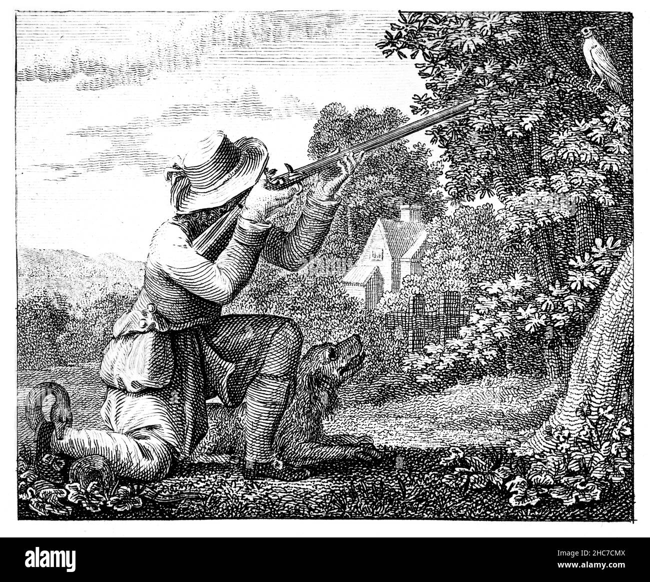 engraved illustration of The Fowler and the Ringdove, a tale of falling into a trap prepared for others, from 1793 First Edition of Stockdale’s Aesop’ Stock Photo