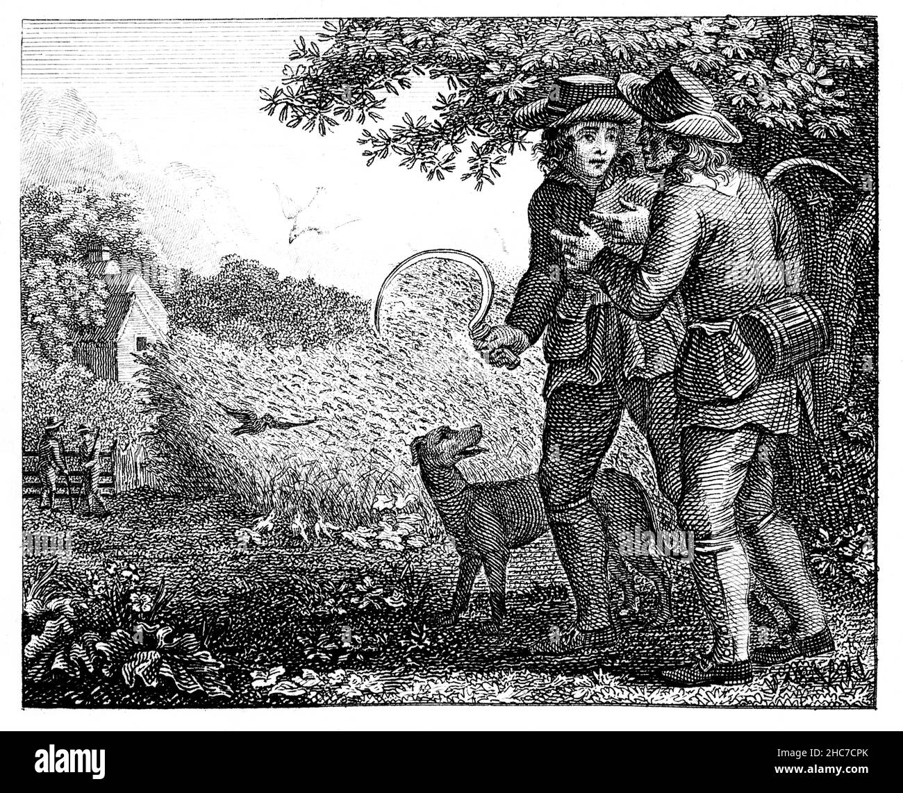 engraved illustration of The Lark and Her Young Ones, a call not to delay, from 1793 First Edition of Stockdale’s Aesop’s Fables Stock Photo