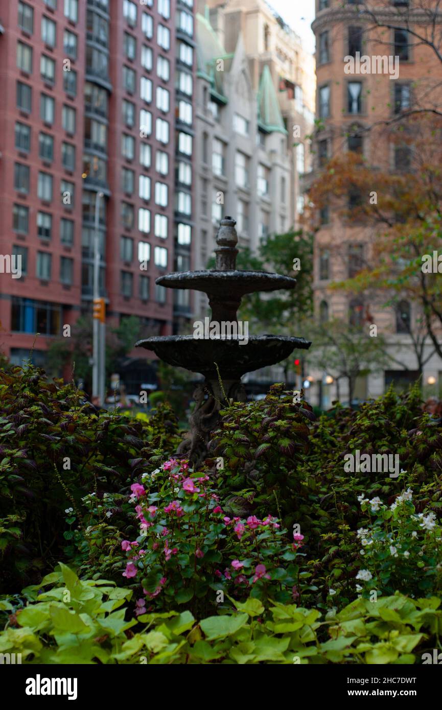 Beautiful water fountain in the park surrounded by lush green plants
