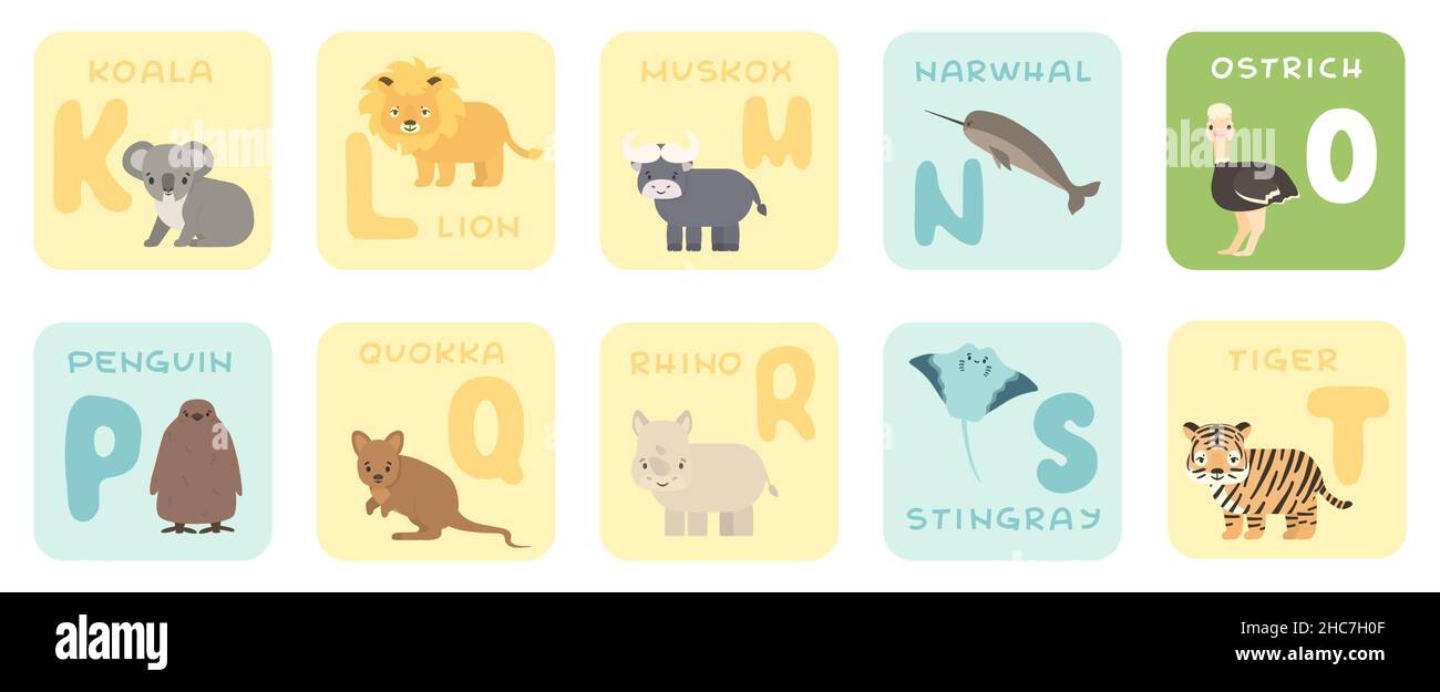 Cute K-T alphabet cards with cartoon savannah African animals. Vector zoo illustrations. Koala, lion, Muskox, narwhal, ostrich, penguin quokka, rhino, Stock Vector