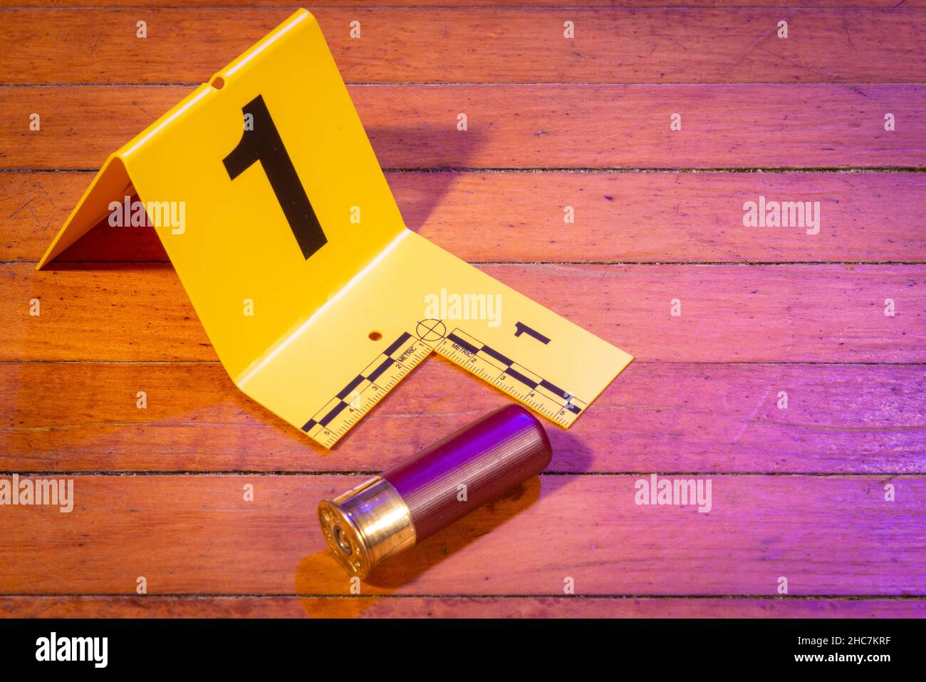 A 12 gauge shotgun shell sits on a wooden floor near an evidence marker. Stock Photo