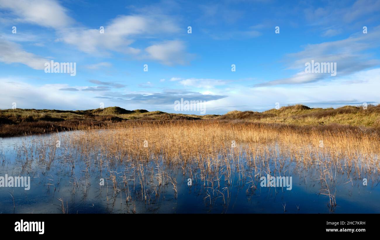 winter Landscape of Slack and Reed bed under a beautiful blue sky. Stock Photo