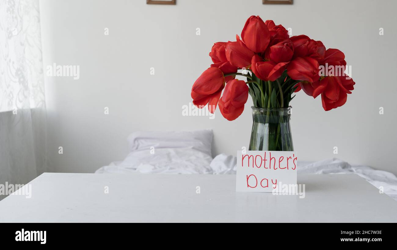 Bouquet of red tulips for Mother's Day, flowers in a vase in the background, white festive background. Stock Photo