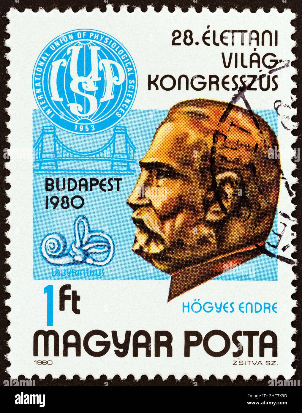 HUNGARY - CIRCA 1980: A stamp issued for the 28th International Congress of Physiological Sciences, Budapest shows Endre Hogyes (physician). Stock Photo