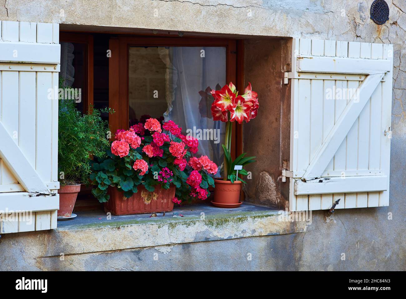 Window with white painted wooden shutters and pretty potted flowers ...