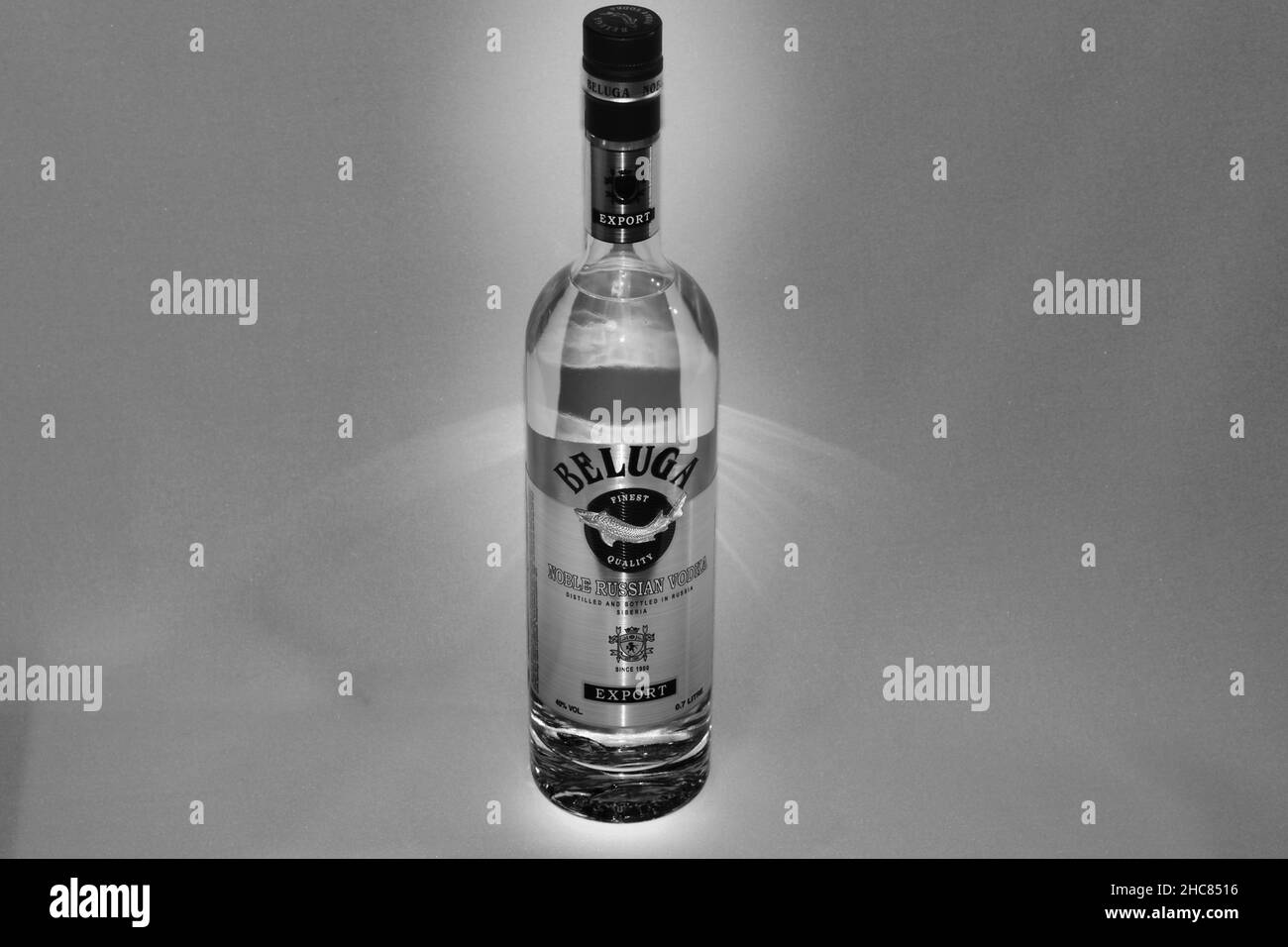 Nizhny Novgorod, Russia, Prospect Gagar at 101 12.24.2021. Russian vodka Beluga in a glass bottle, isolated close-up, beautiful background. . High qua Stock Photo