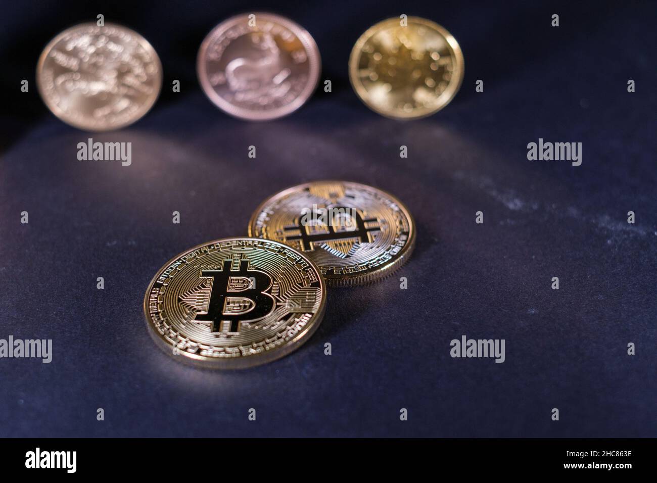 a golden bitcoin coin stand in front of a Krugerrand coin and a gold dollar  and a canadian maple leaf coins Stock Photo - Alamy
