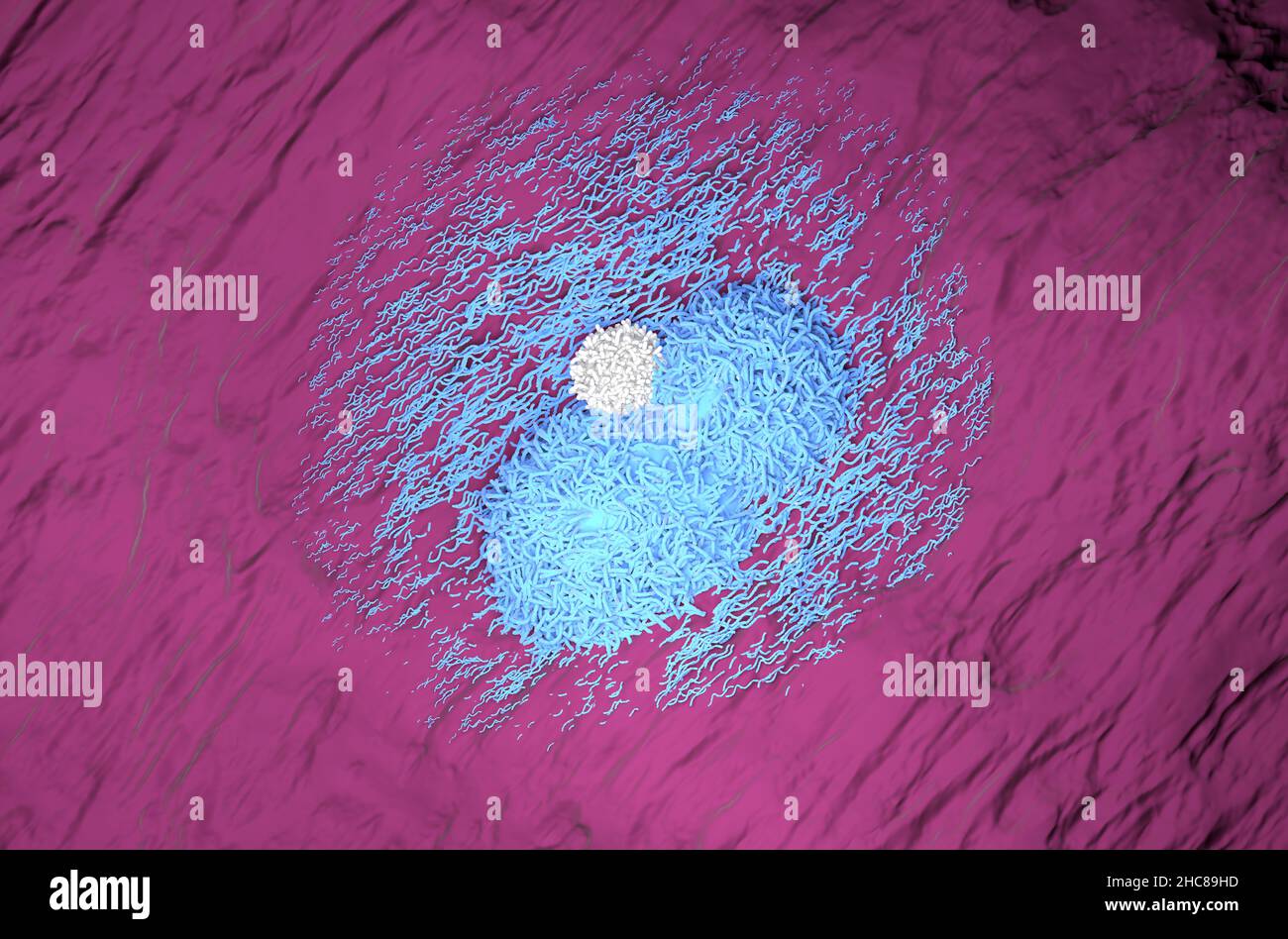 Liver cancer hepatoma blue color with t-cell realistic top view 3d illustration Stock Photo