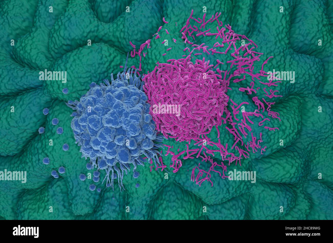 Gastric stomach cancer cells top view 3d illustration Stock Photo