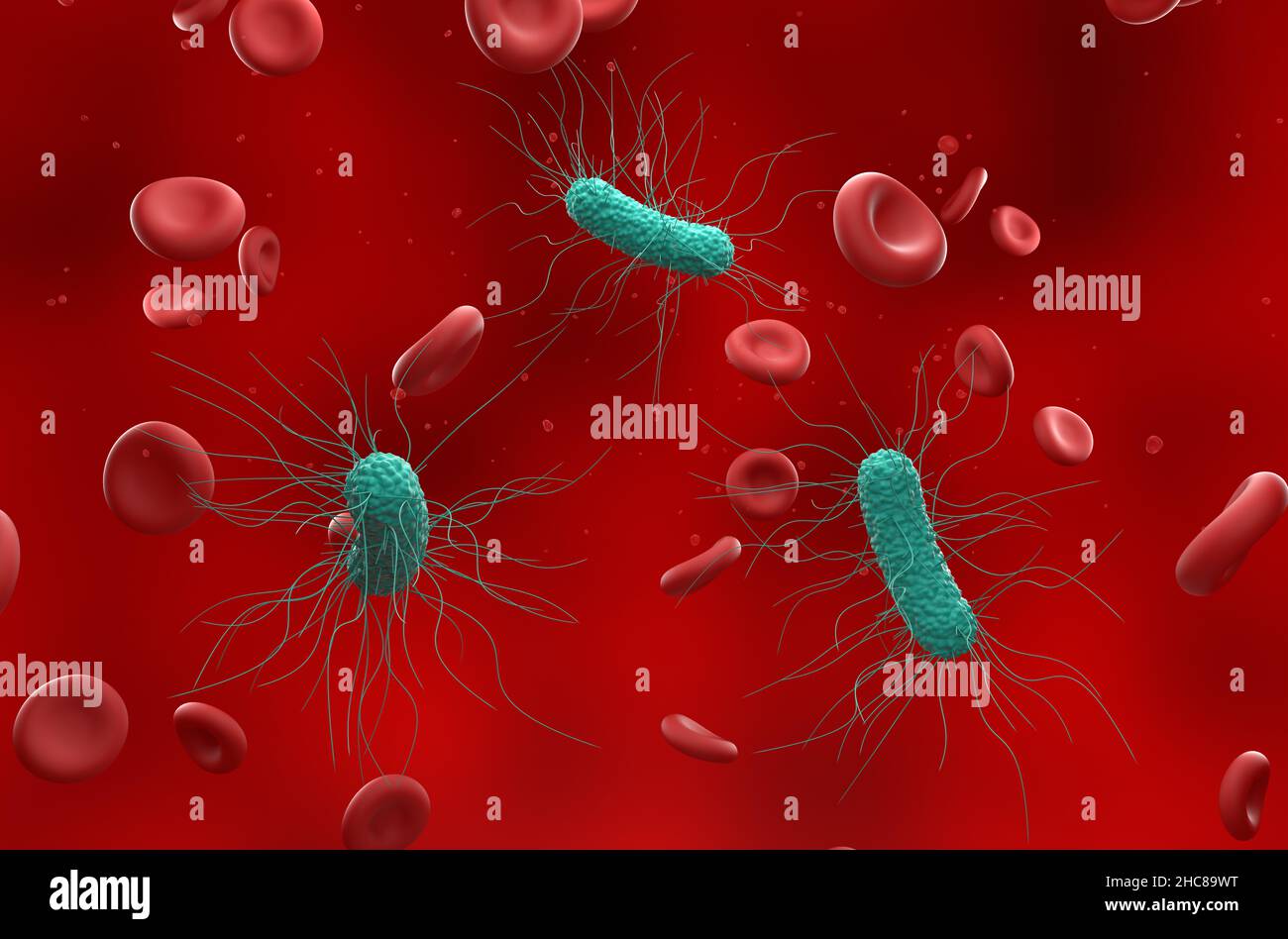 General bacterias in the blood flow - isometric view 3d illustration Stock Photo