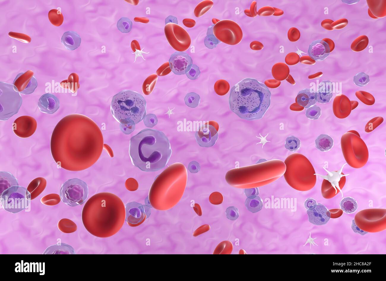 Red and white blood cells with platelets  isometric view 3d illustration Stock Photo