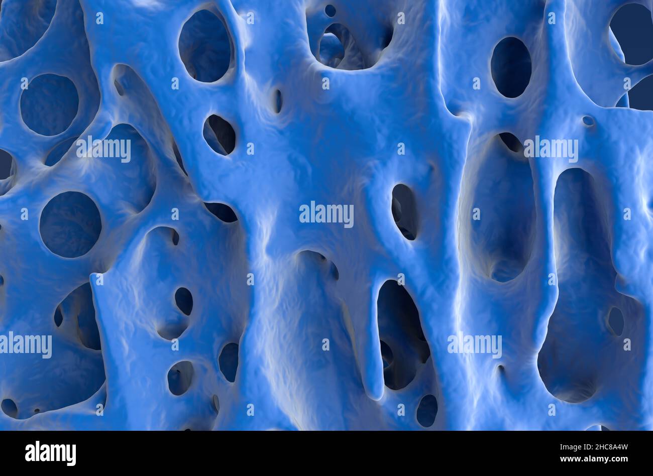 Normal bone structure (healthy bone cortex)  - front view 3d illustration Stock Photo