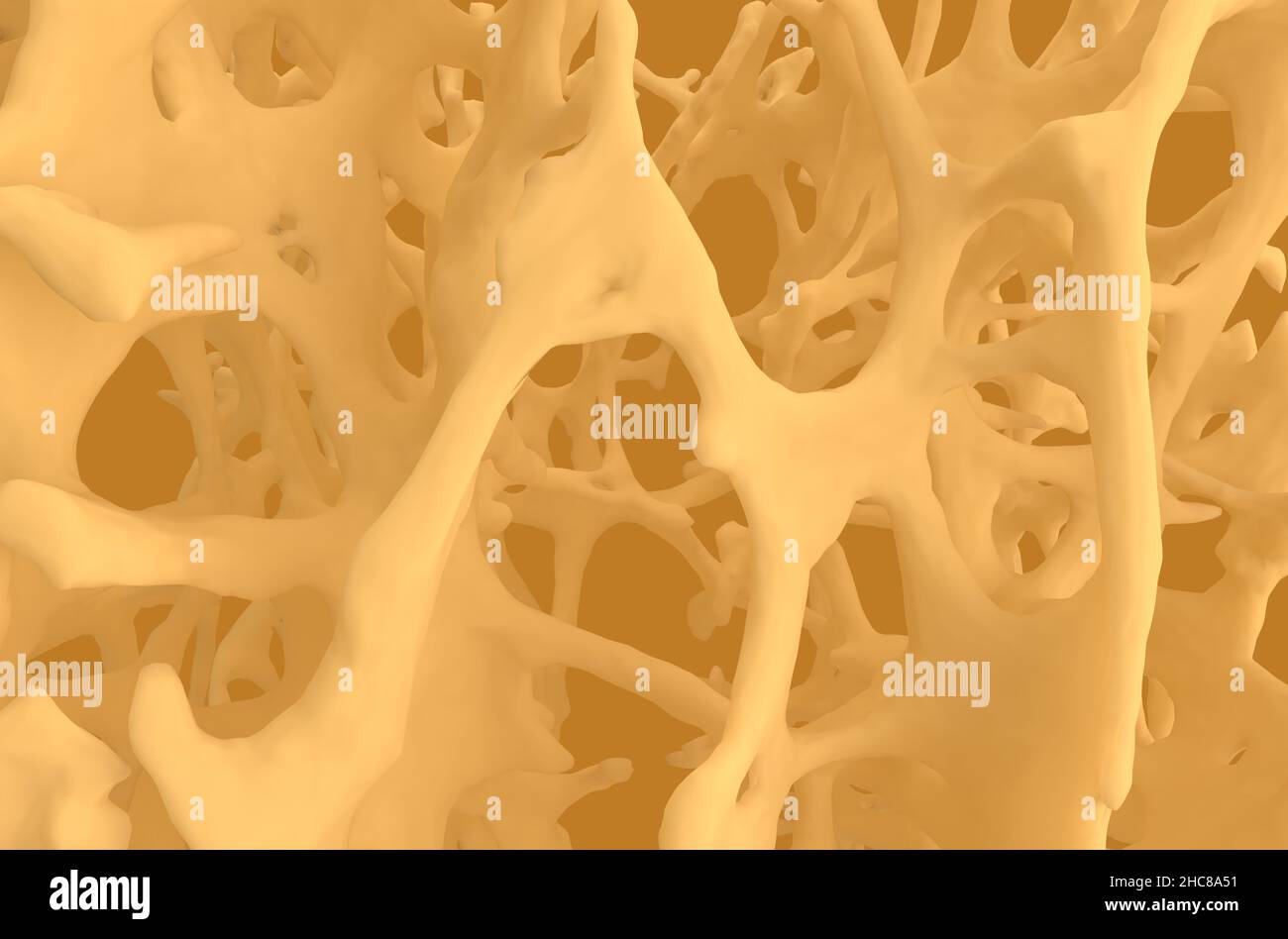 Osteoporosis bone structure - natural material front view 3d illustration Stock Photo