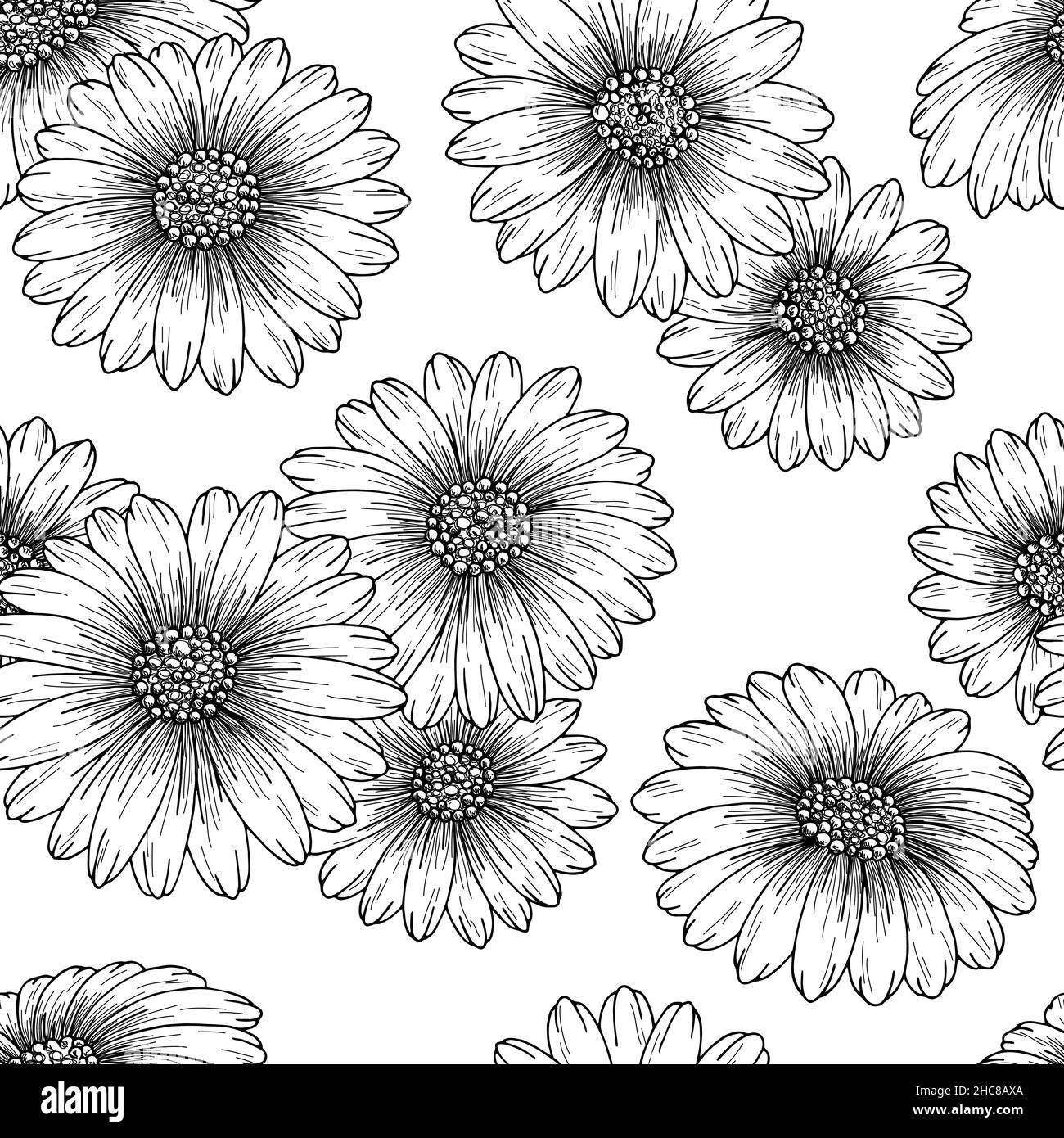 Chamomile flower graphic black white seamless pattern background sketch ...