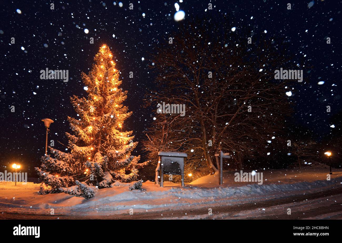 Christmas tree with lights on, at edge of village, at nighttime, with snowfall, Loewenhagen village, Lower Saxony, Germany Stock Photo