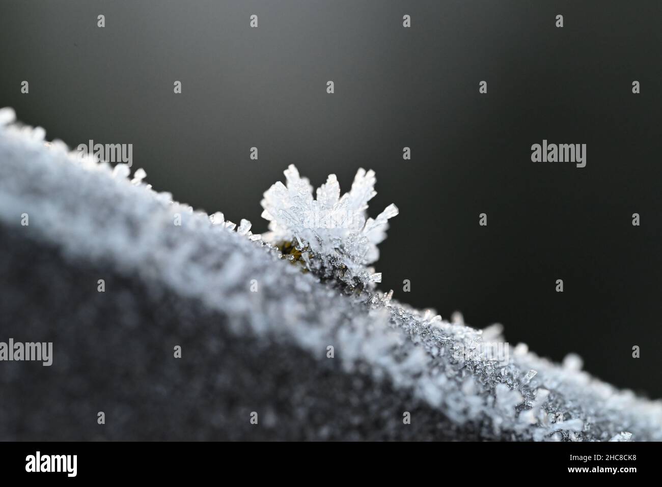 Ice crystals on the roof Stock Photo
