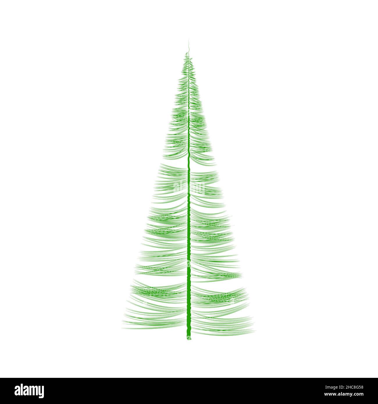 Abstract spruce silhouette. Evergreen coniferous culture. Needles grow ...