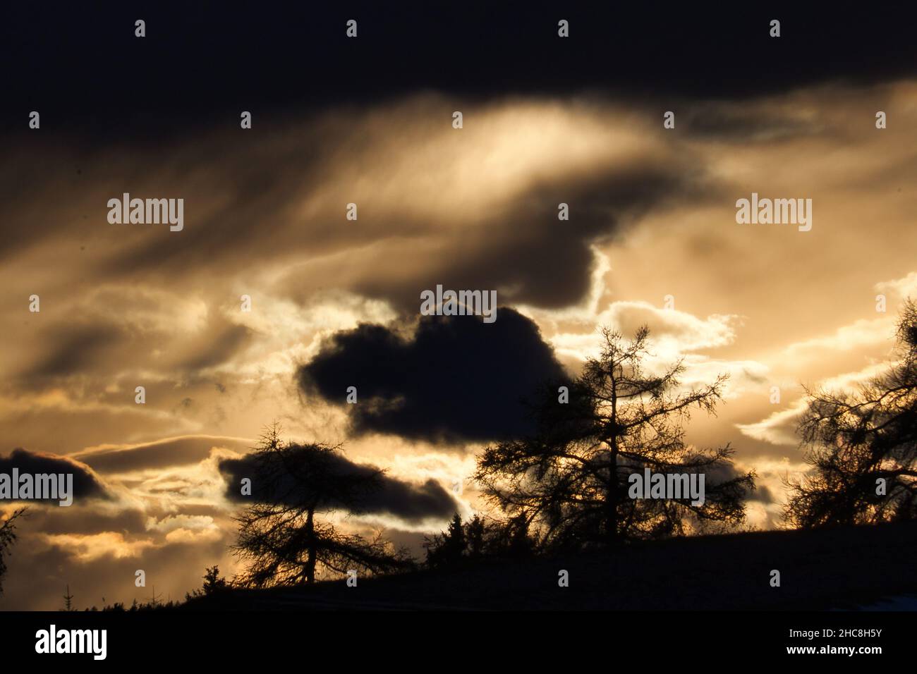 Silhouettes of trees and dark clouds at the sunset Stock Photo - Alamy