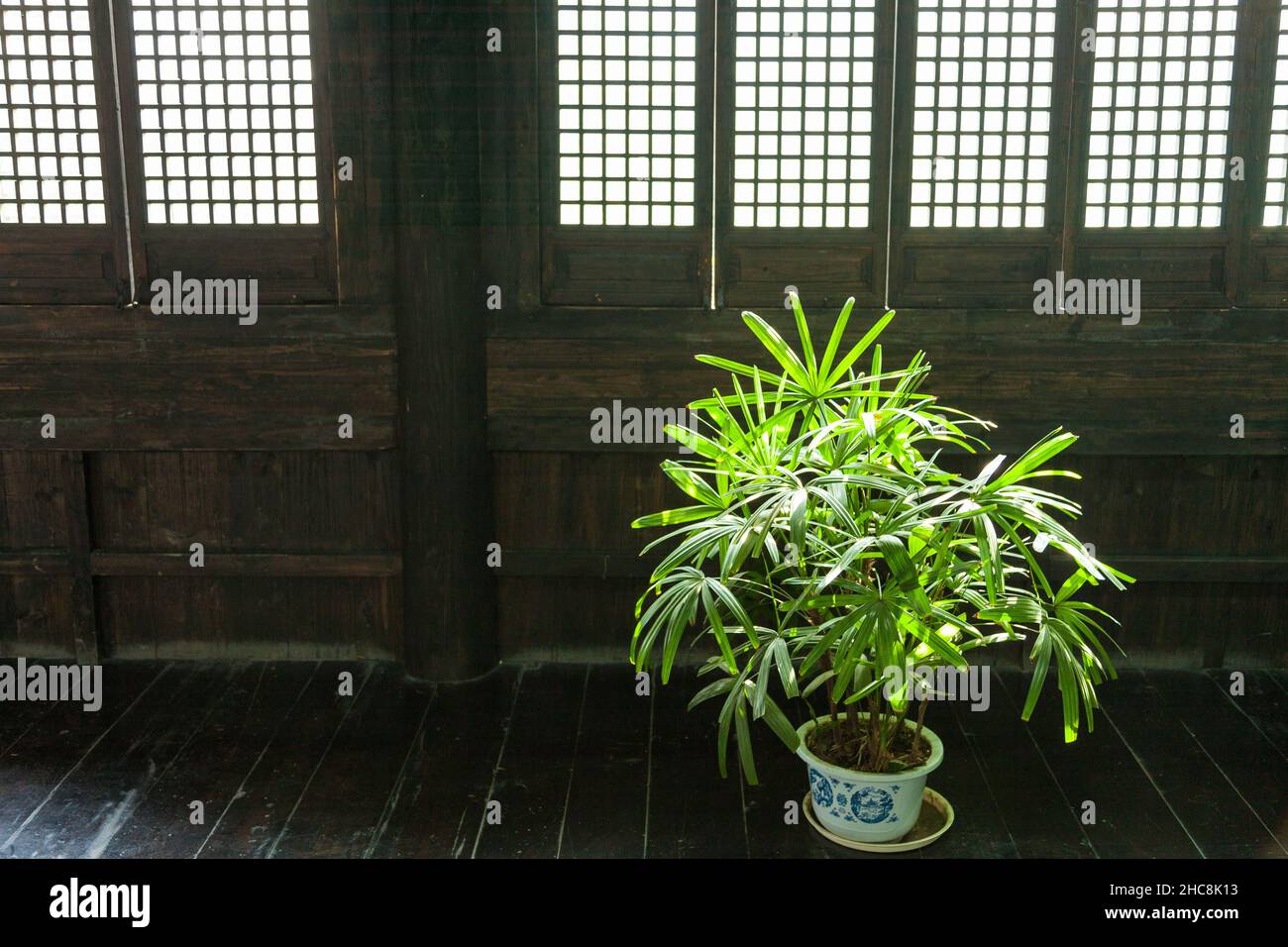 Green plant in a pot in an ancient Chinese house. Xitang, China Stock Photo