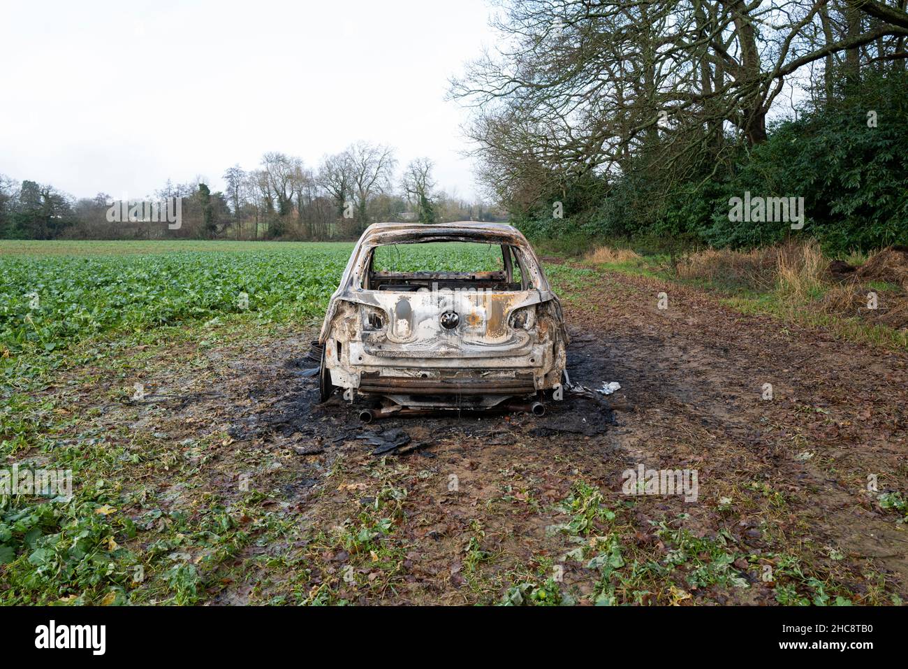 Burnt Out Volkswagen Golf GTi Car in Field Stock Photo