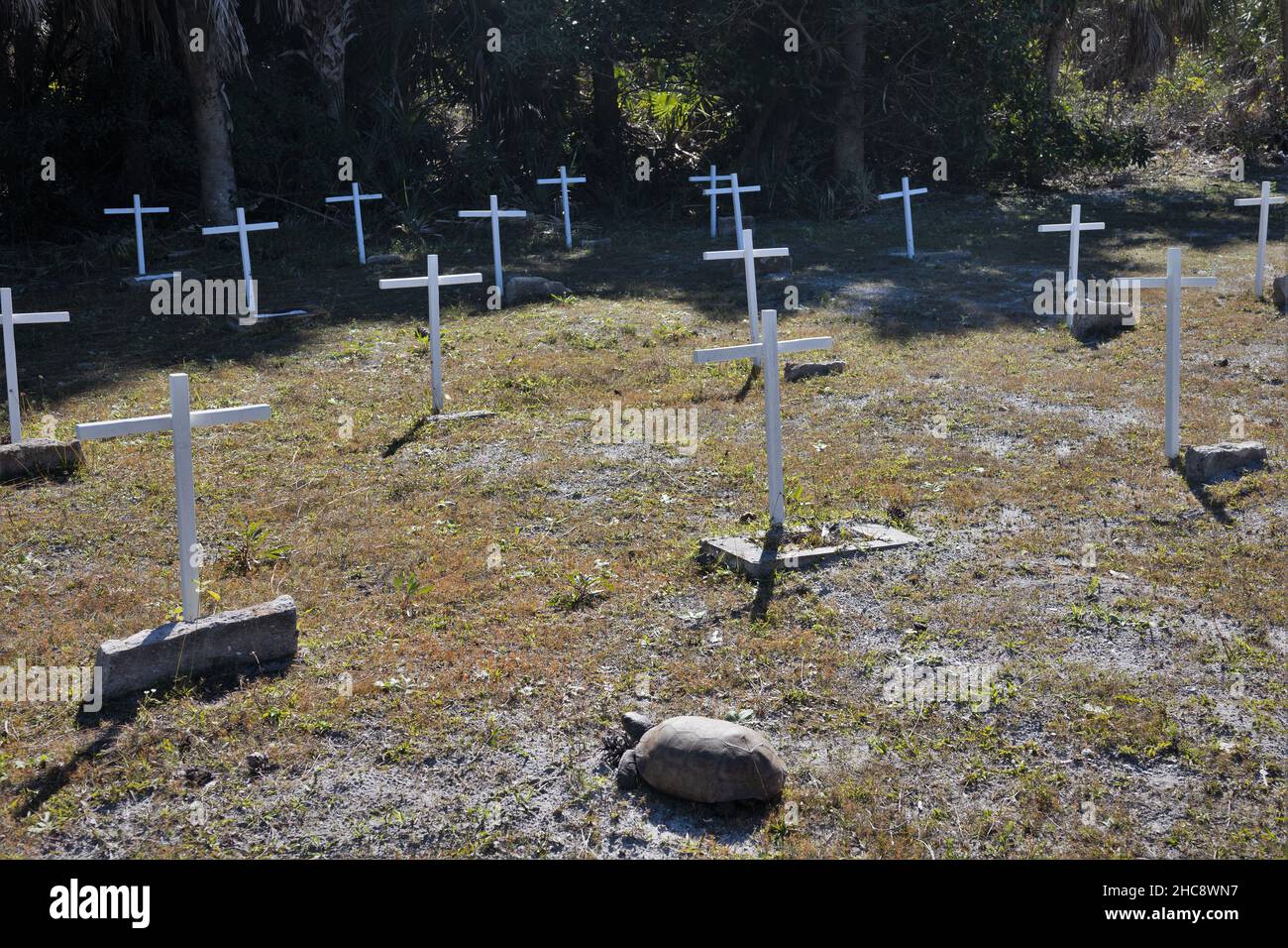 Egmont key state park florida hires stock photography and images Alamy