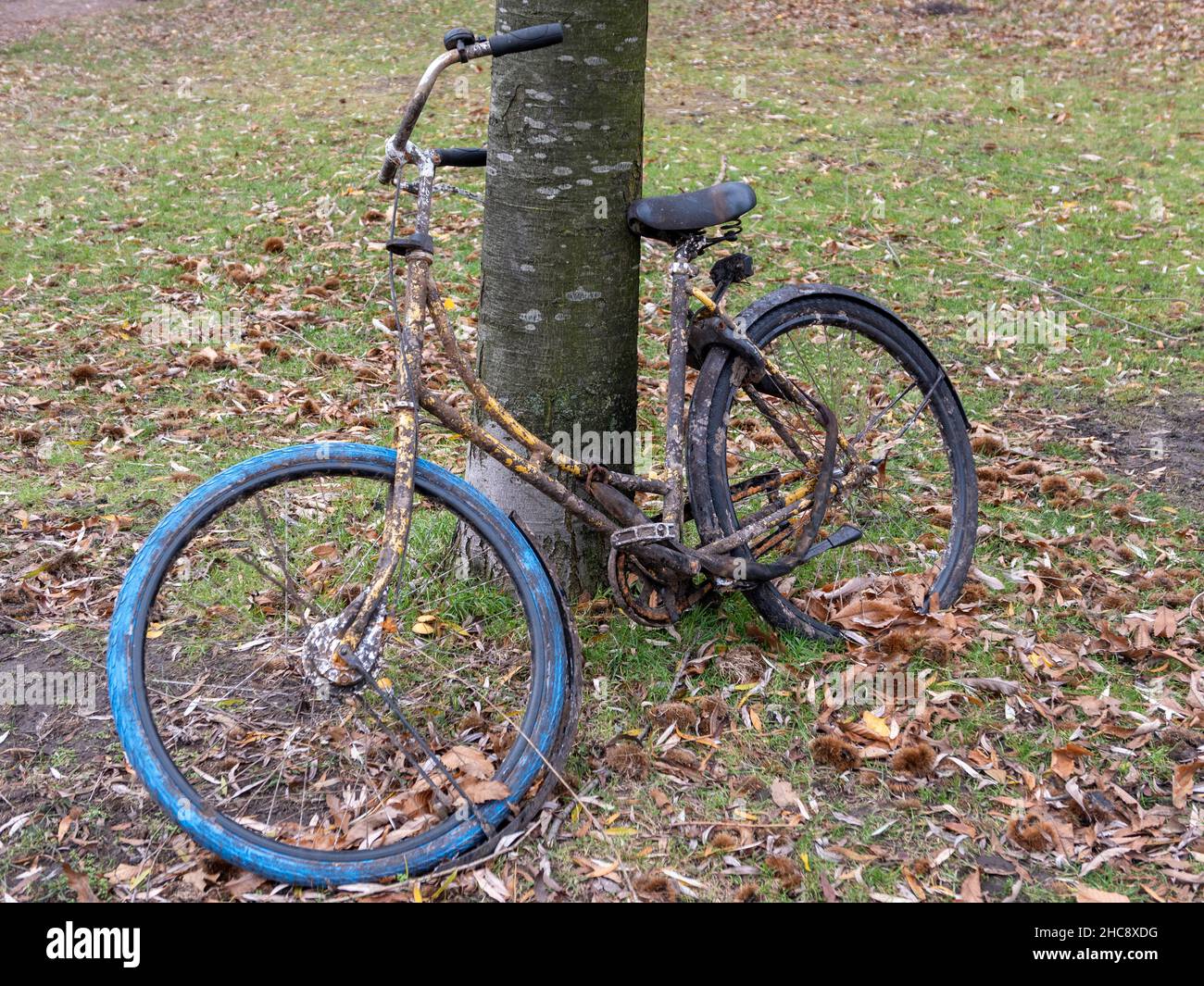 Altes Fahrrad in einem Park in Hamburg, Deutschland Stock Photo