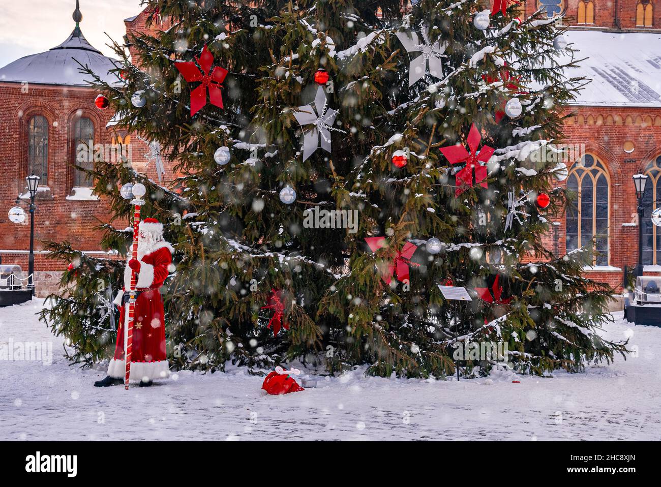 Santa Claus walking by the huge Christmas tree in Riga, Latvia. Stock Photo