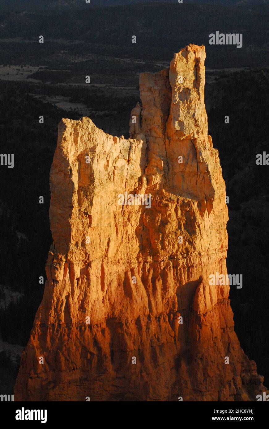 A vertical overview of a towering beautiful bright red hoodoo in the sunset light of Bryce Canyon National Park, Utah, USA. Stock Photo