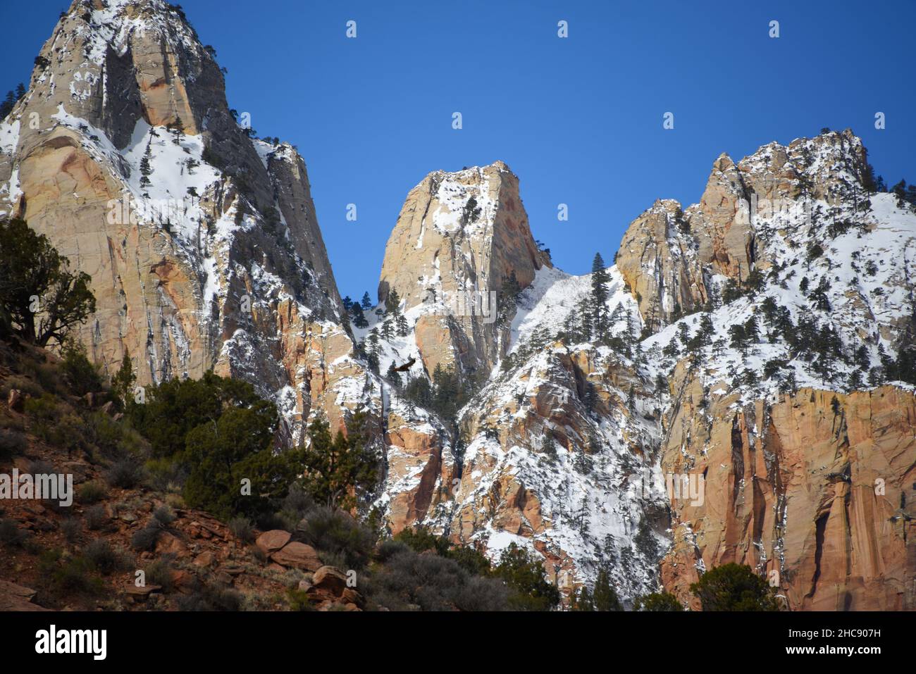 Large format panoramic landscape of snow dusted rugged mountain peaks in the Zion National Park, Utah, USA. Stock Photo
