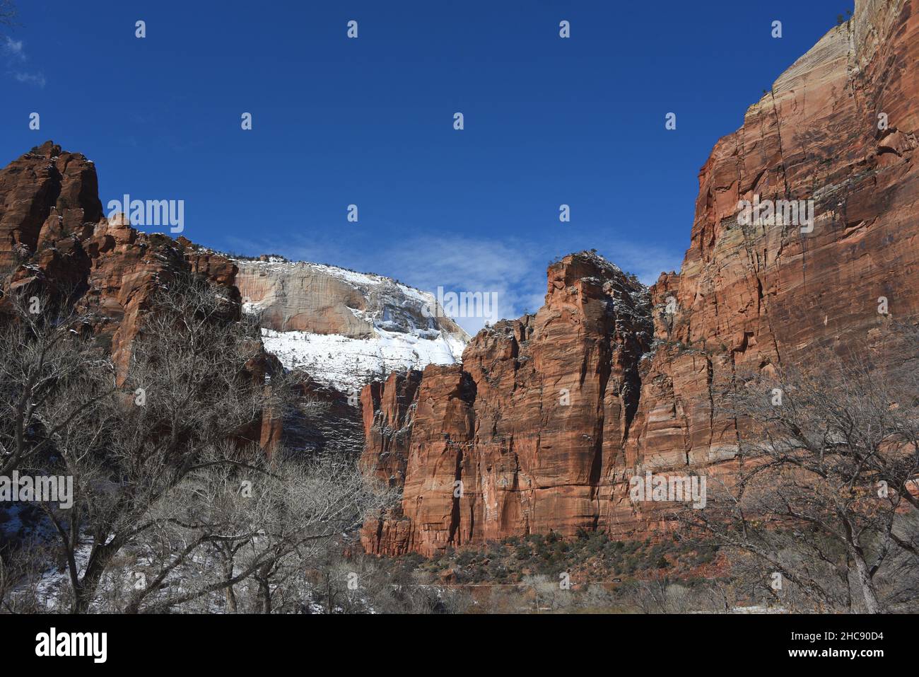 Large format panoramic Winter landscape of snow covered colorful mountains and cliffs in Zion National Park, Utah, USA. Stock Photo