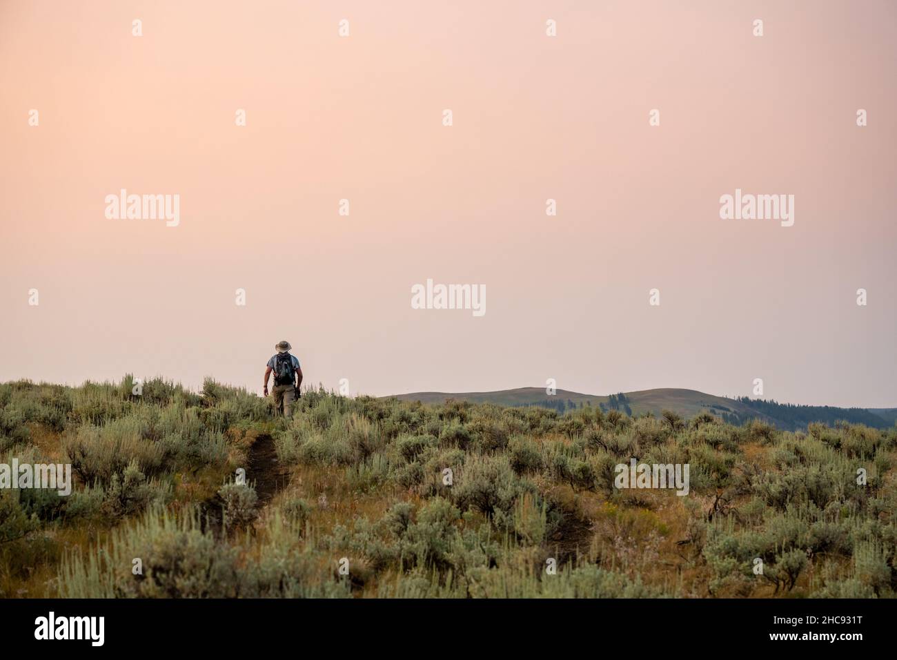 Man HIkes Along Specimen Ridge Trail In Yellowstone National Park Stock Photo Alamy