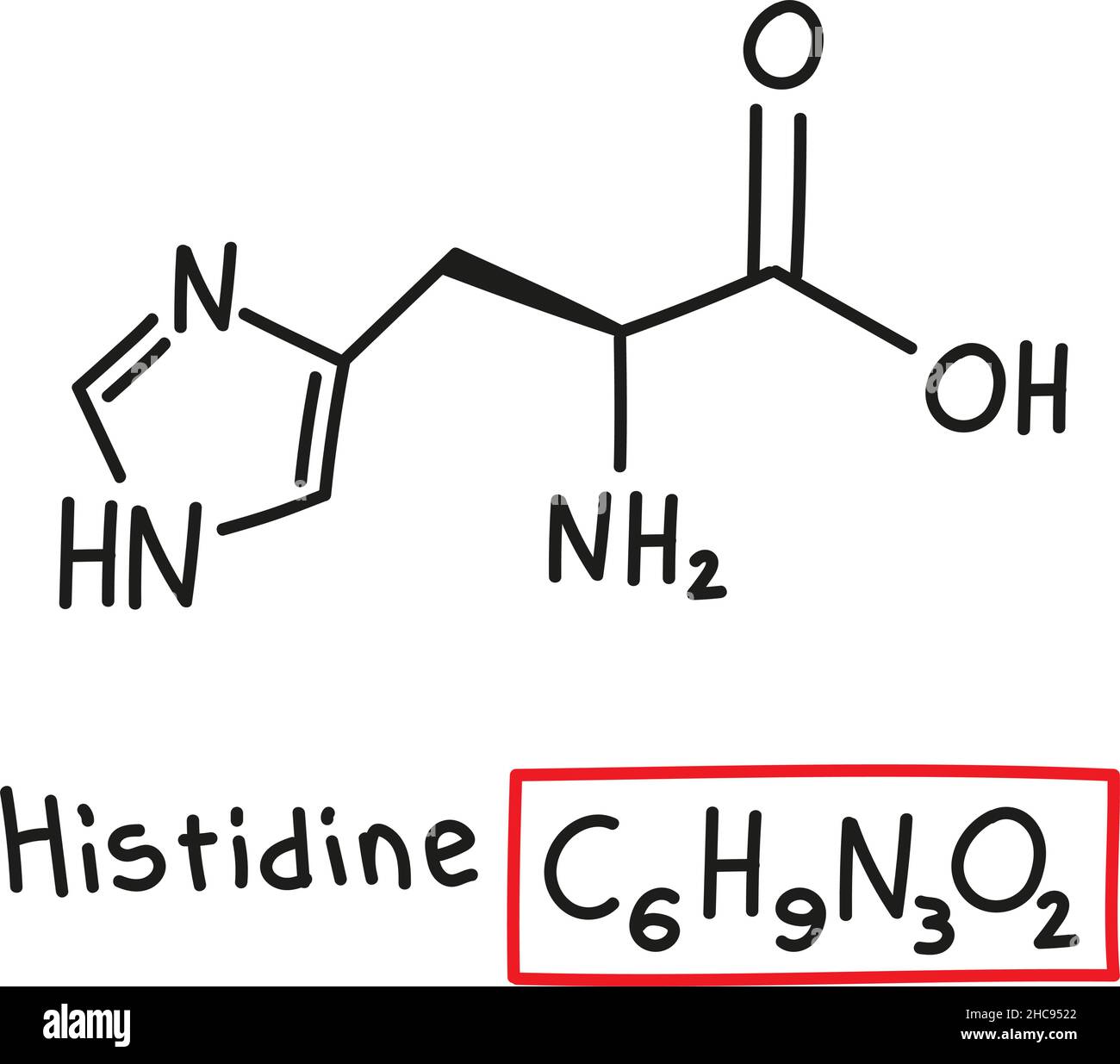 Hand drawn chemical molecular formula of amino acid histidine in doodle