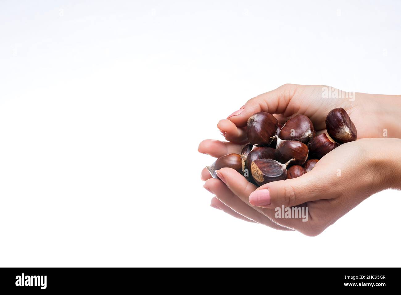 Photo of a bunch of chestnuts in a girl's hand on a white background.The photograph is taken in horizontal format and has a large space for copy space Stock Photo