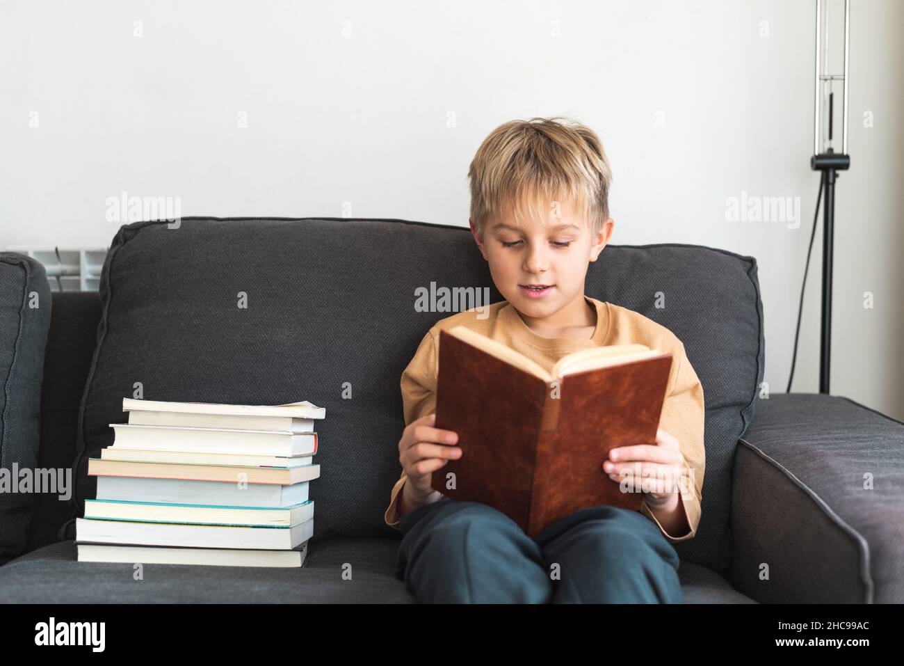 Adorable smart little boy with blond hair in casual clothes reading interesting fiction while sitting on comfortable sofa near stack of various books Stock Photo