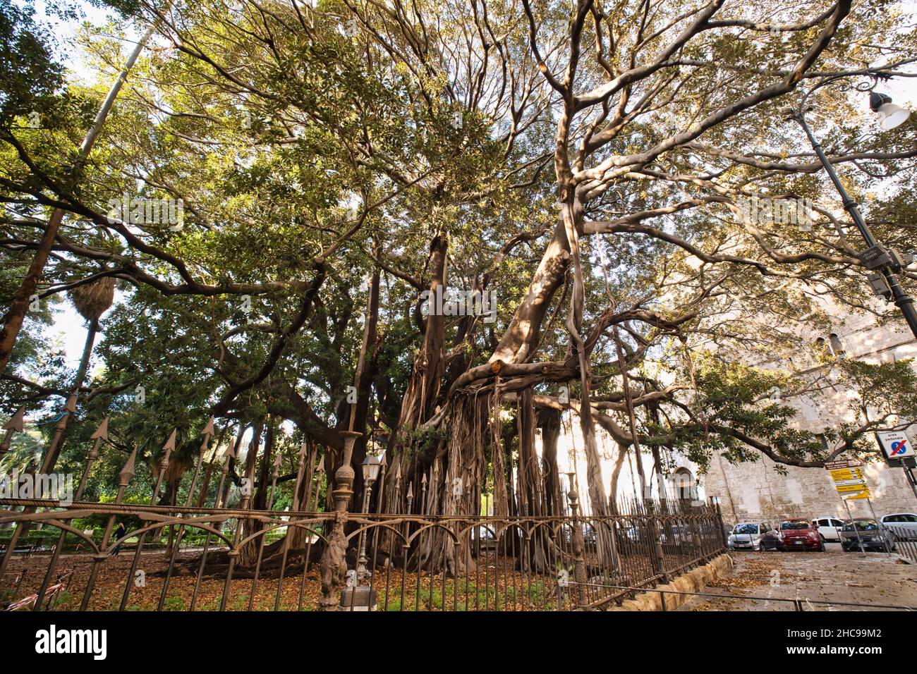 Biggest tree hires stock photography and images Alamy