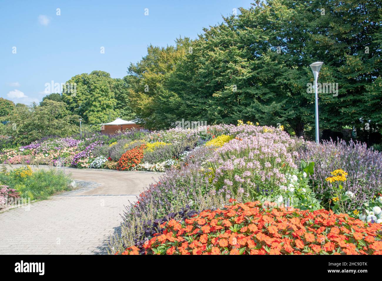 Landscape of flower patches in Luisenpark Mannheim Baden Wurttemburg