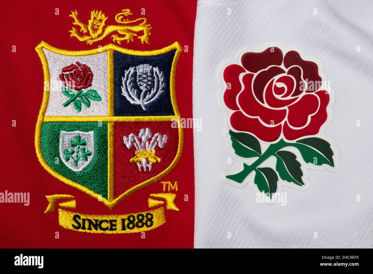 Close up of British and Irish Lions and England jersey Stock Photo Alamy