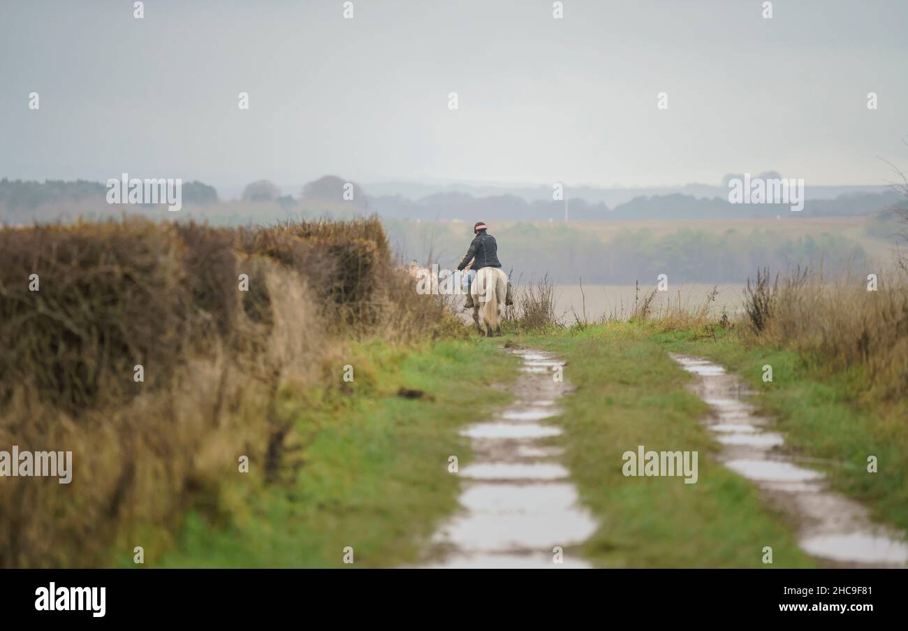 Horse rider on country lane hi-res stock photography and images - Alamy