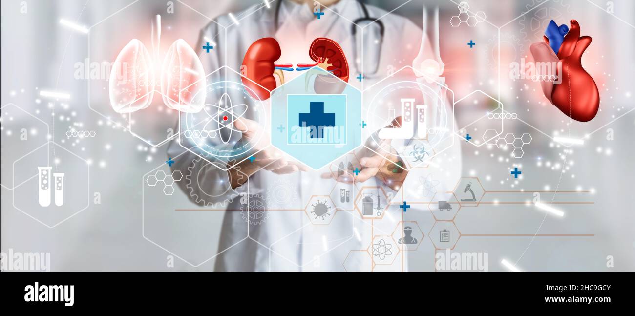 Doctor with medical symbols and human organs as a concept of health and well-being. Medical future technology and innovative concept. Mixed Media Stock Photo