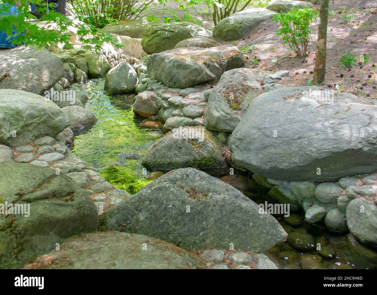 Landscape of zen river in Korean garden in Garten der Welt Marzahn
