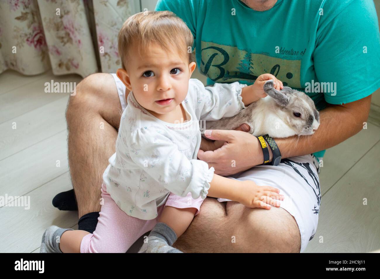 infant baby girl playing with decorative rabbit in father s hands Stock ...
