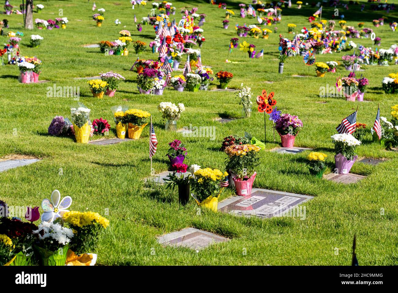 American flags and flowers decorate graves for the Memorial Day Holiday