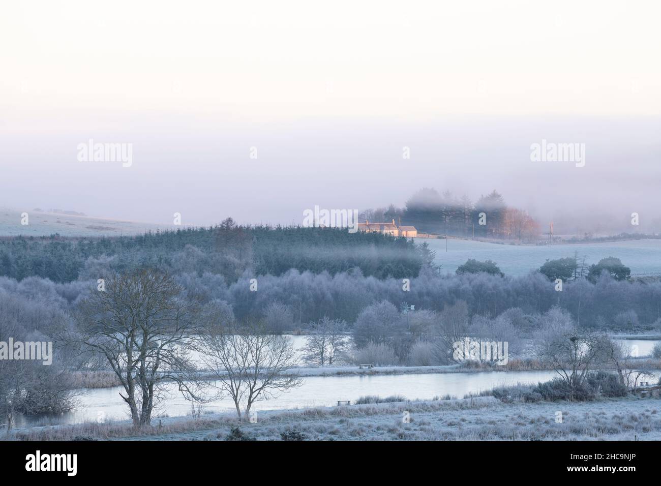 A View of the Ponds at Midmar Fishery and Surrounding Woodland on a Cold, Frosty Morning as the First Sunshine Falls on a Cottage in the Distance Stock Photo